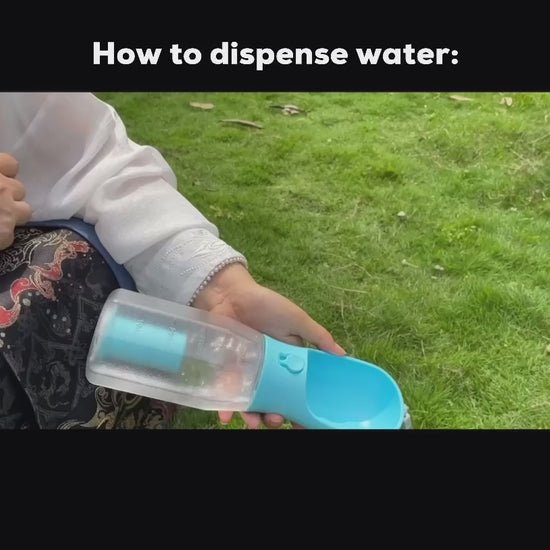 Dispensing water